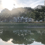 Taking in the view of Sungei Tampines River on a lovely afternoon